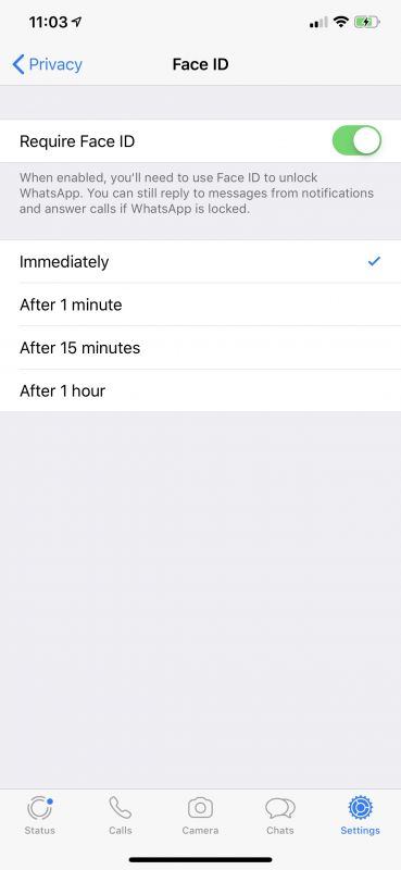 WhatsApp Screen Lock